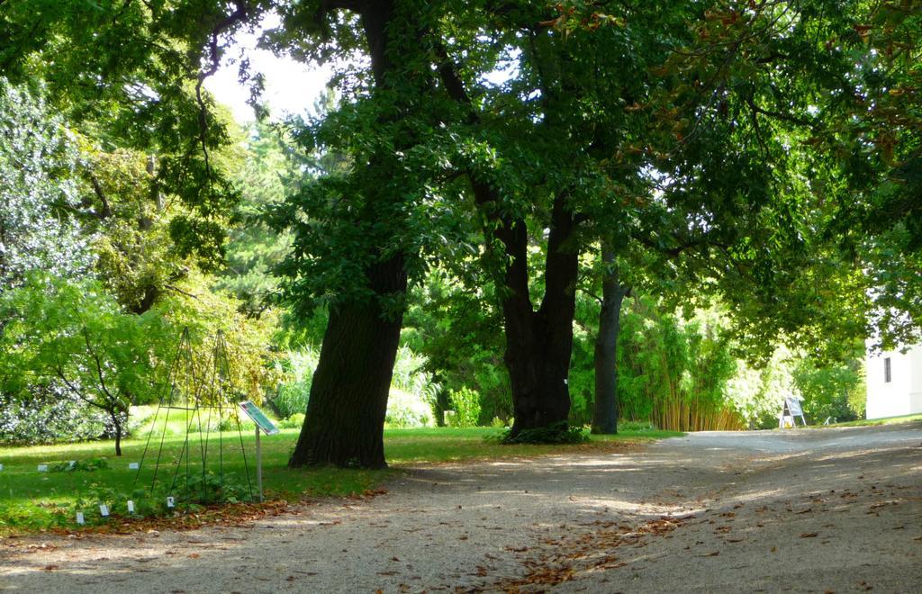 Streetview Wien - Premium Apartment Beim Belvedere ภายนอก รูปภาพ